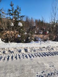 post-22709 thumbnail