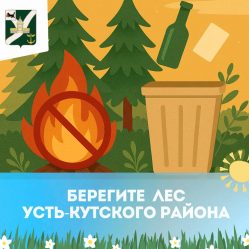 post-27285 thumbnail