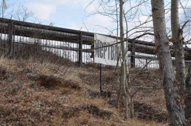 post-34379 thumbnail