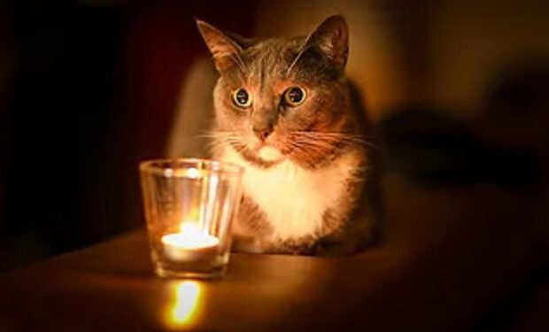 post-35688 thumbnail